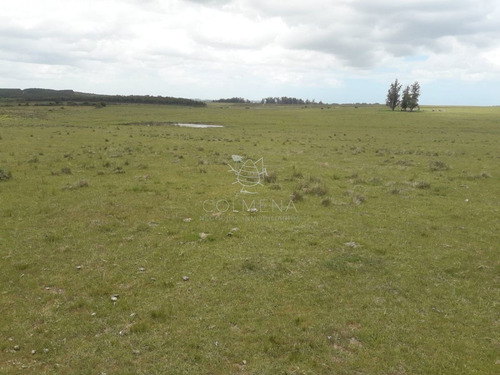 Imagen 17 de 20 de Campo En Paraje Jose Ignacio - Consulte!!!!!! - Jose Ignacio