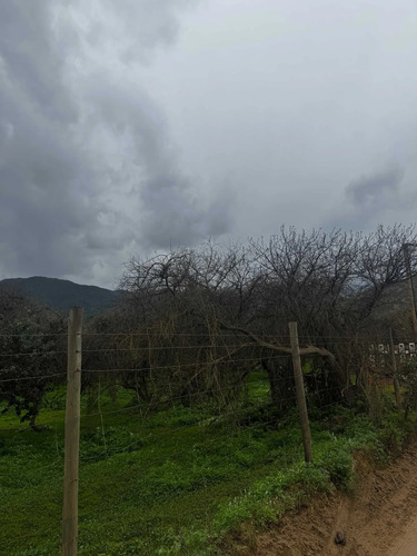 Parcelas De Agrado 10000 M2 Curacavi Ruta 68 (176809)