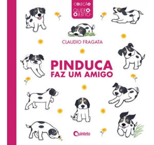 Pinduca Faz Um Amigo, De Fragata, Claudio. Editora Quinteto Editorial, Capa Mole Em Português