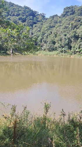 Vendo Um Sítio De 49.000 Metros Com Represa Dentro