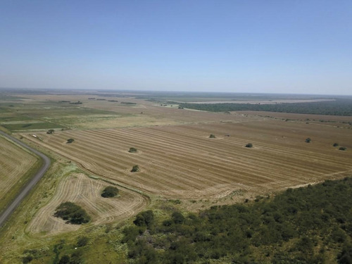 Imagen 4 de 8 de Campo - Bovril