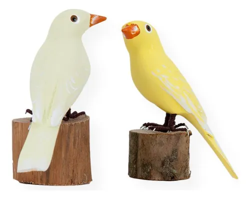 Aves de Madeira: pareja de canarios (21a7)