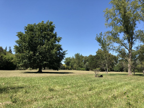 Imagen 8 de 12 de Campo En Venta En La Plata Ruta 215 Dacal Bienes Raices