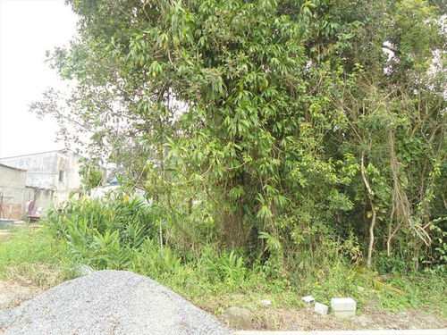 Imagem 3 de 6 de Terreno - Venda - Verde Mar - Itanhaem - Ita2613