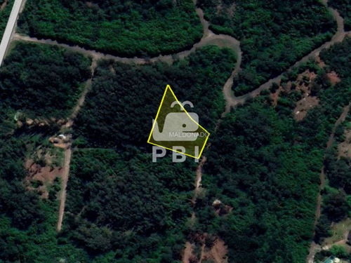 Imagen 3 de 3 de Venta De Lote En Las Cumbres, Punta Ballena - Ref : Pbi1964