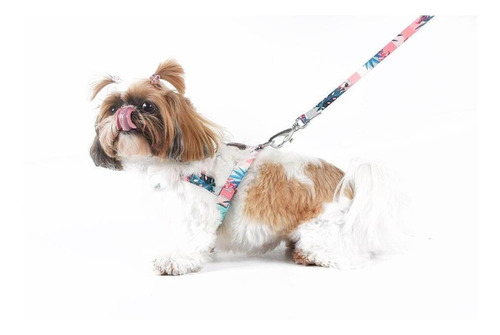 Imagem 5 de 6 de Conjunto Peitoral E Guia Gg Rosa Laguna Toh Dog