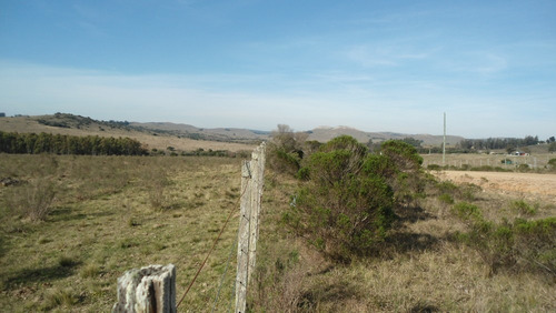10 Has. Turístico Criador En Campanero -lavalleja