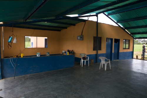 Imagen 19 de 25 de Finca Bufalina Barinas, Parroquia San Silvestre En Venta