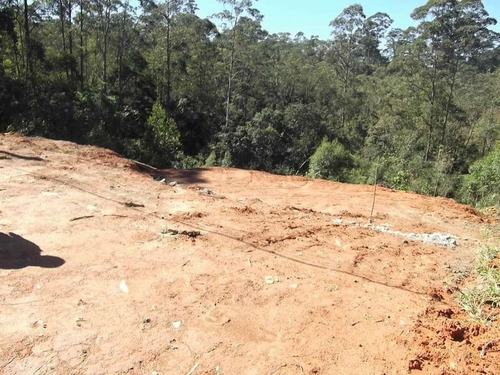 Terreno Em Chácara Recanto Verde, Cotia/sp De 0m² À Venda Por R$ 250.000,00 - Te894768