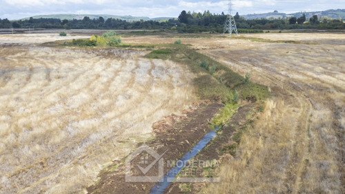 Predio De 70 Has Mulchén Orilla De Carretera 5 Sur