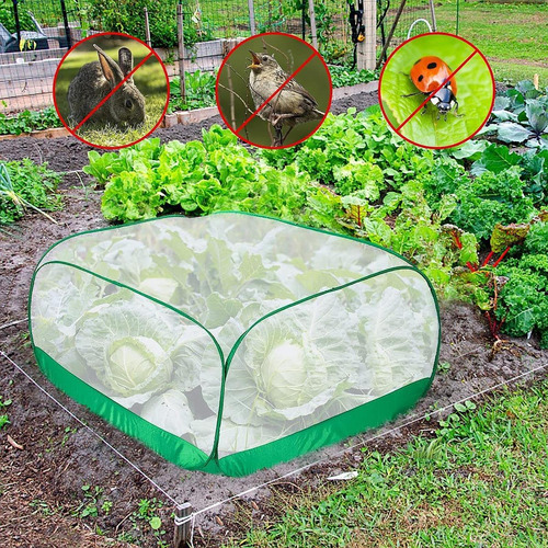 Tienda De Cubierta De Planta De Malla Para La 100x100x50cm