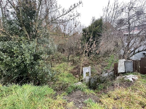 Imagen 9 de 13 de Sitio En Venta En Osorno