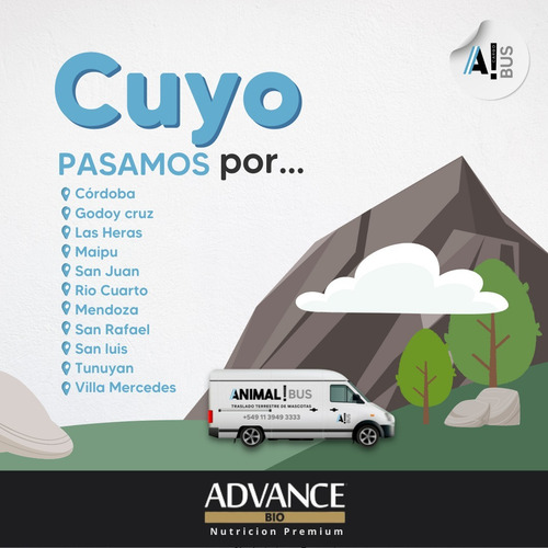 Traslado De Mascotas A Cuyo Todo El Año