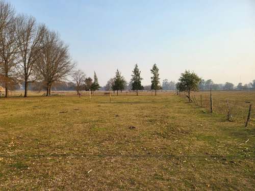 Imagen 17 de 17 de Venta-casa Quinta- Arroyo De La Cruz-zona Norte- 3 Ambientes- Pileta