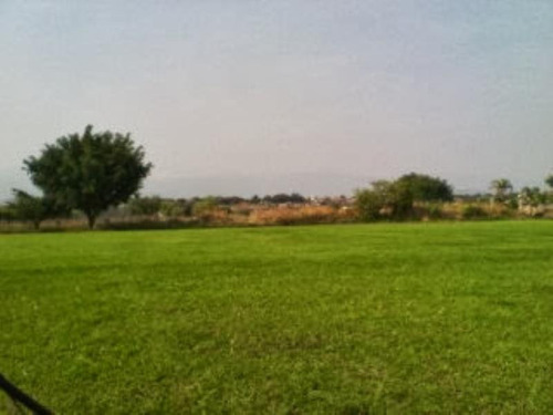 Imagen 10 de 11 de Terreno En Venta Acapatzingo