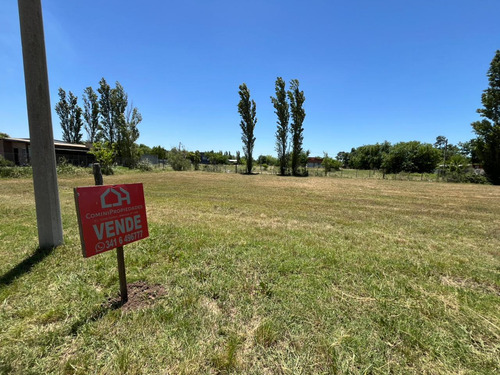 Terreno En Venta - Barrio El Molino