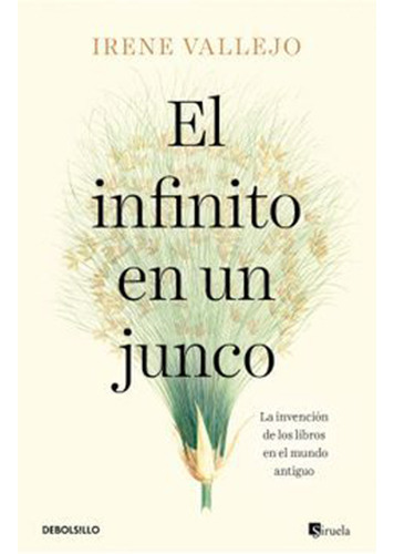 El Infinito En Un Junco, De Vallejo, Irene. Editorial Debolsillo, Tapa Blanda En Español