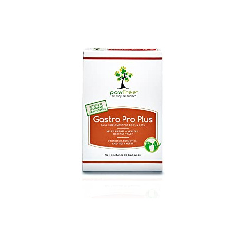 Pawtree Gastro Pro Plus- Probióticos, Prebióticos Y X2qga