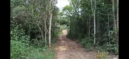 Imagem 2 de 6 de Terreno Escriturado Zona Rural De Pirenópolis