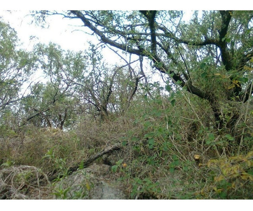 Imagen 6 de 18 de Amplisimo Lote En Prado De La Rivera . Agua De Oro,cordoba!