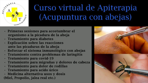 Curso De Apiterapia (acupuntura Con Abejas)