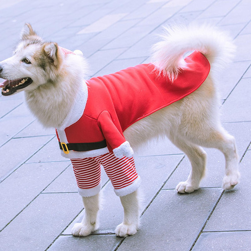 Roupa De Natal De Gato Roupas De Natal Com Chapéu Roupas Xl