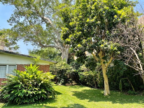 ¡oportunidad Gran Terreno En Yautepec, Morelos!
