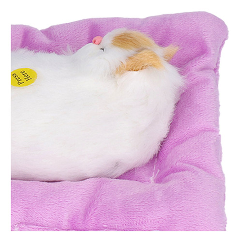 Simulación De Juguete De Gatito Durmiendo Con Gatos Falsos