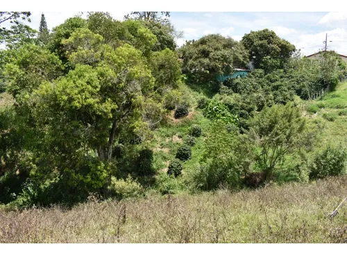 Se Vende Lote En Quimbaya Quindío