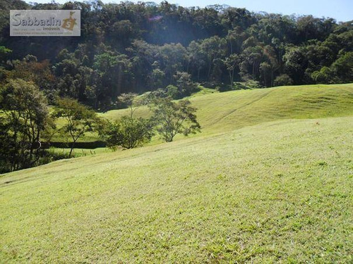 Imagem 16 de 20 de Terreno Residencial À Venda, Pedro Do Rio, Petrópolis. - Te0025