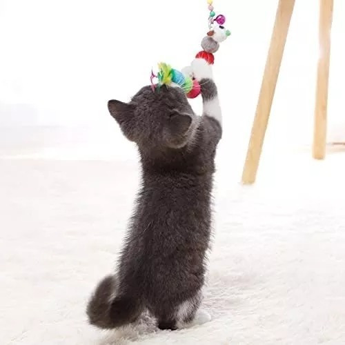 Imagen 5 de 7 de Varita Interactiva Con Plumas Para Diversión Gatos/perros