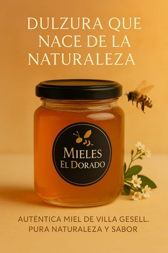 Miel De Abejas Pura 100% Sin Tac 1k Envíos A Todo El País