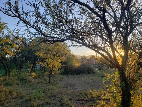 Imagen 7 de 7 de Terreno Venta Mendiolza Golf