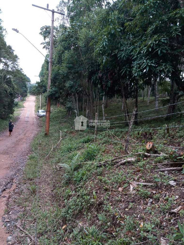 Imagem 13 de 26 de Terreno, Dos Neves (caucaia Do Alto), Cotia - R$ 210 Mil, Cod: 4254 - V4254