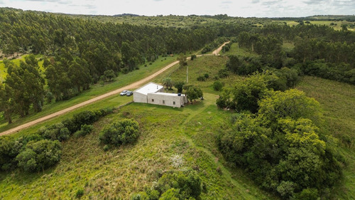 Chacra En Venta Maldonado, Gran Tapera Rec. 240m De Arroyo (ref: Bpv-10530)