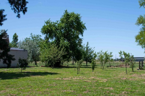 Imagen 20 de 24 de Chacra En Venta, Excelente Ubicacion, Piscina, Inmejorable Zona Agreste