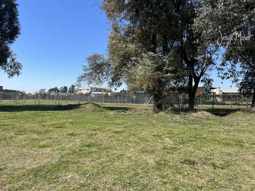 Lote Venta Barrio San Ramón - 484m2 #id 16387