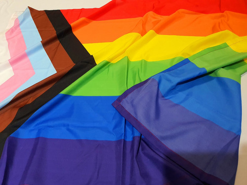 Bandera Lgbt+ 80x140 Cm O El Modelo Que Requieras