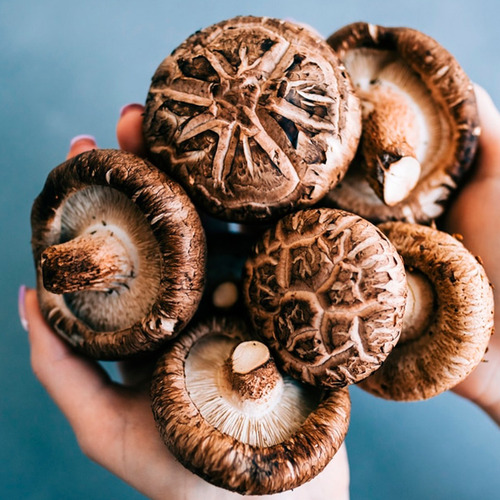 Shiitake | Antioxidante | Agrega A Tu Bebida