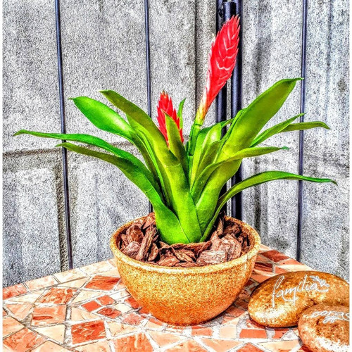 Imagem 2 de 5 de Arranjo Bromélias Vermelhas Nªº Orquideas Artificiais Flores