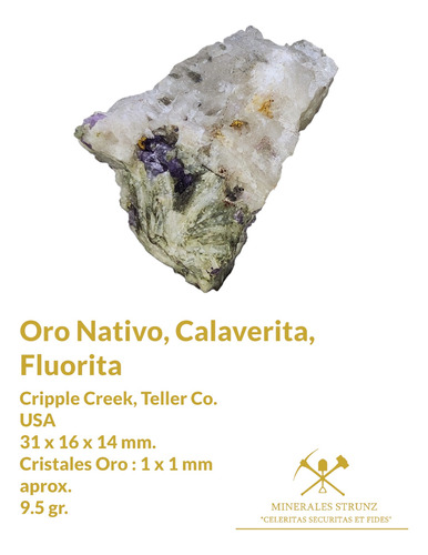 Mineral Muy Raro Calaverita, Cristal Oro Nativo, Cuarzo #2