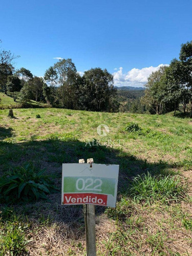 Imagem 5 de 9 de Lindo Terreno Em Rancho Queimado - Te0148