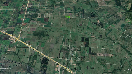Imagen 7 de 20 de Campo - Colón