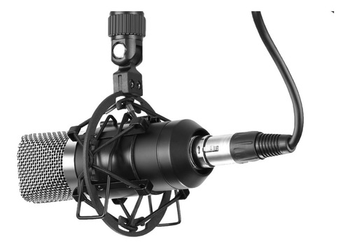 Rad R1 Microfone Condensador De Diafragma Grande Acessórios Cor Prateado