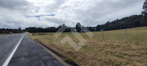 Parcela - 5.000 M2 Cada Una - Cascadas - Puerto Octay