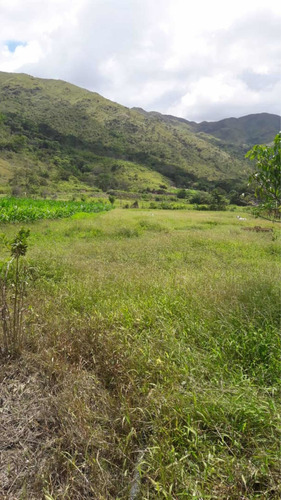 Imagen 4 de 11 de Vendo Espectacular Finca En Chirgua-carabobo (0414-0784274)