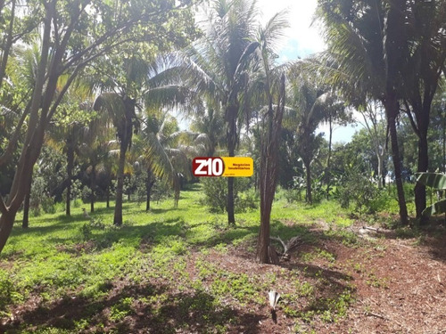 Imagem 15 de 18 de Sitio Para Venda Em Bauru Boracéia - Na Z10 Imóveis - Indaiatuba /sp - St00209 - 69350414