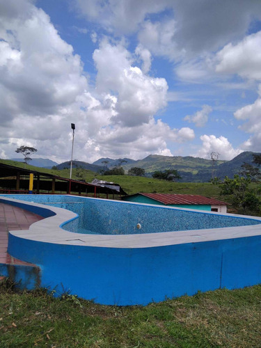 Imagen 21 de 23 de Finca Productivo En Tachira
