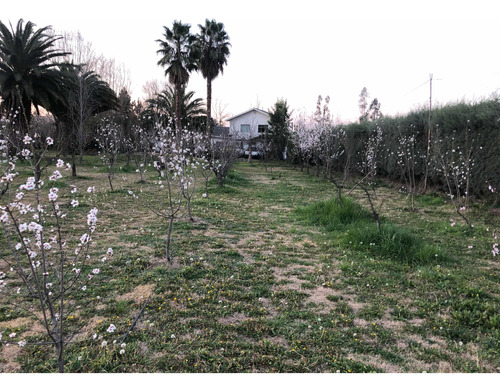 Arriendo/venta Parcela 2.1 Ha(3 Roles) Paine 2 Casas Piscina