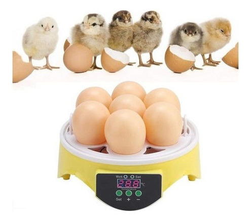 Criadora De Huevos De Incubación Qué Valor